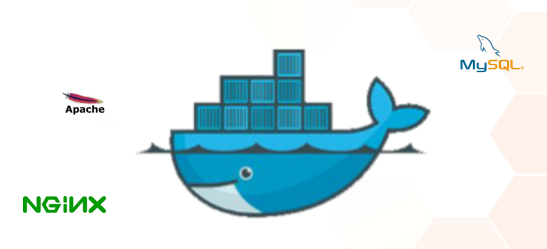 image-20221226183209890