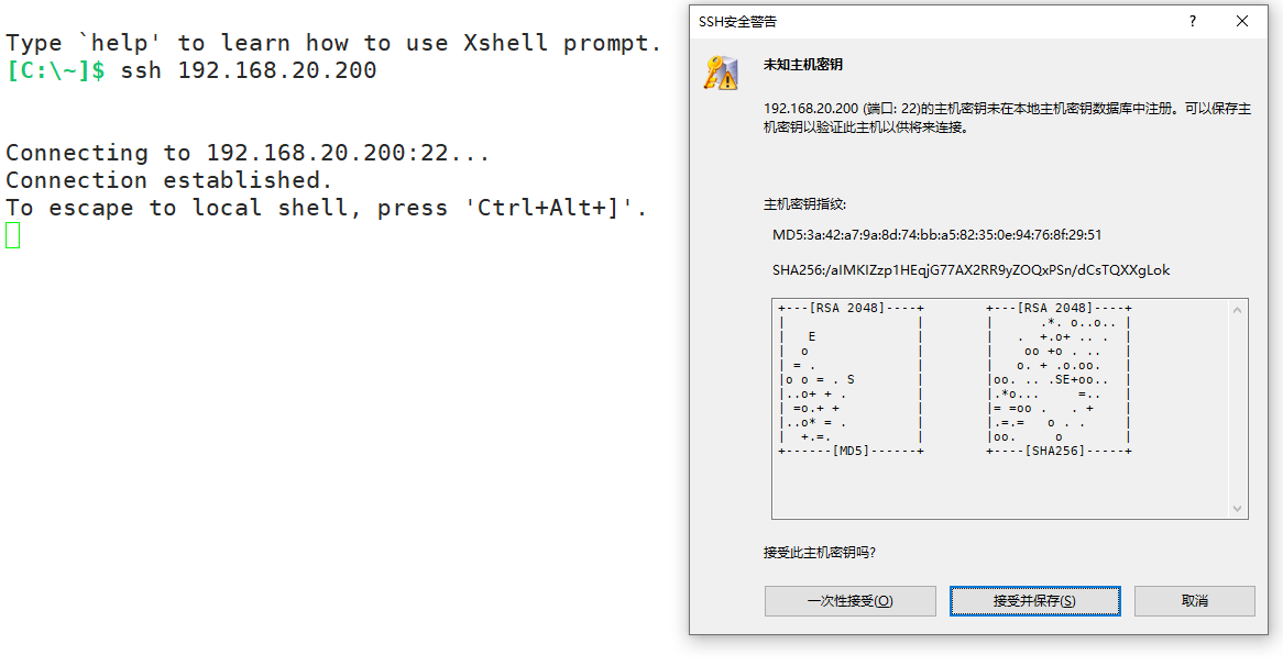 image-20230104213854220