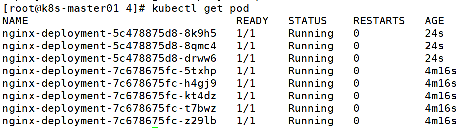 image-20230119190846122