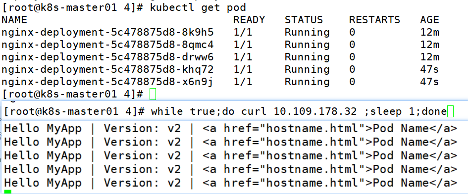 image-20230119191419821