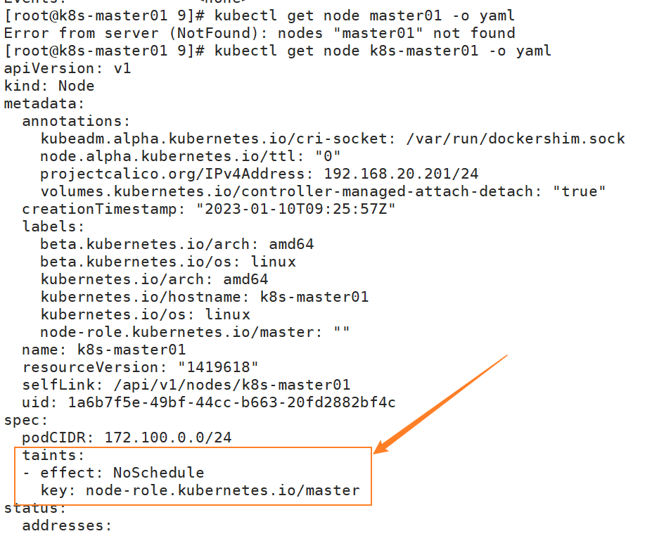 image-20230206191149327